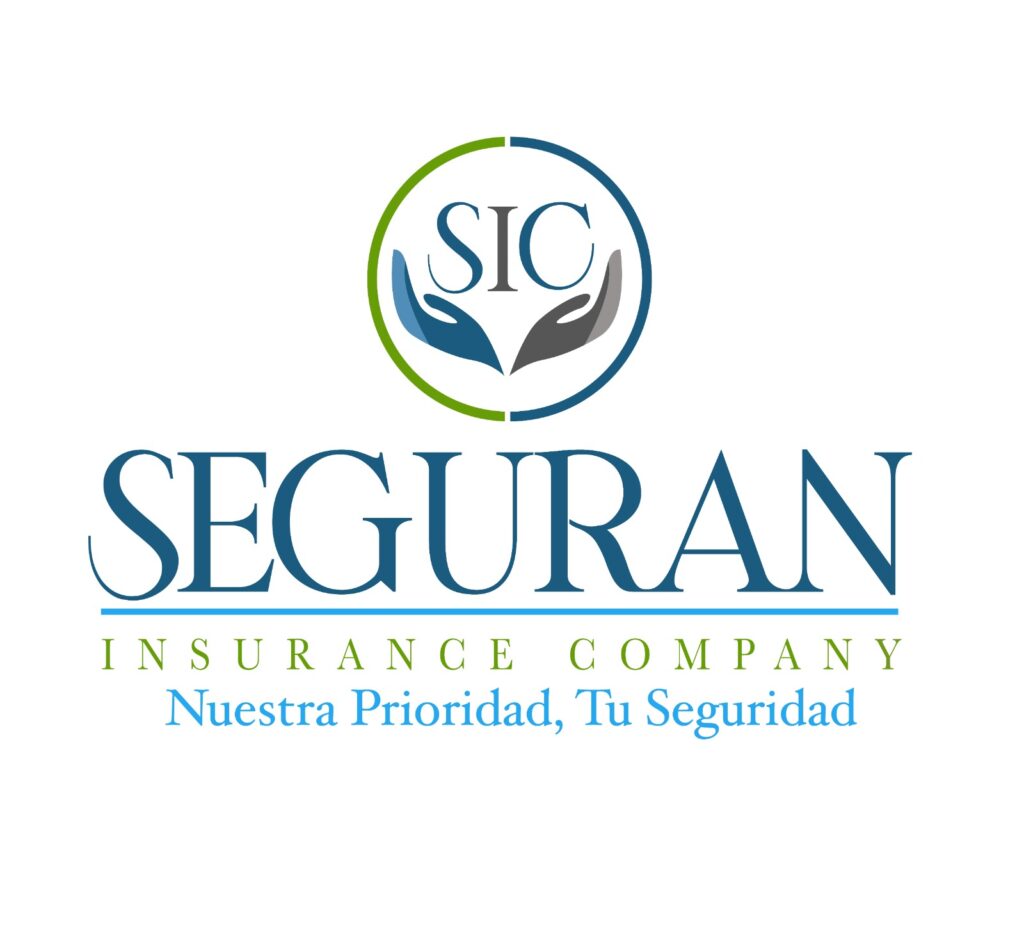 Logo Seguran Insurance 1024x950